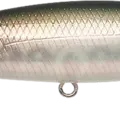 Pearl Shad