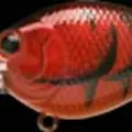 Spring Craw
