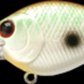 Caramel Shad