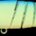 Chartreuse Light Blue