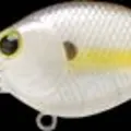 Chartreuse Shad