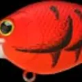 Mad Craw