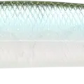 Silver Cheek Ghost Minnow