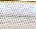 Misty Shad