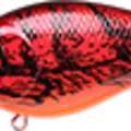 TO Craw