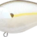 Chartreuse Shad