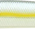 MH Chartreuse Shad