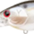 Pearl Threadfin Shad