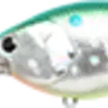 Aurora Citrus