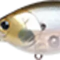 Ghost Minnow