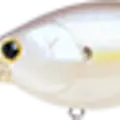 Chartreuse Shad