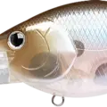 Ghost Minnow