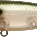 Ghost Minnow