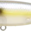 Chartreuse Shad