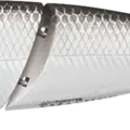 Original Tennessee Shad