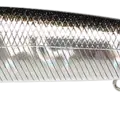 BP Golden Shiner