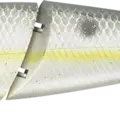 Sexy Chartreuse Shad