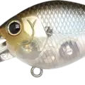Ghost Minnow