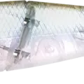 Ghost Minnow
