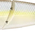 Chartreuse Shad