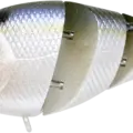 Pearl Threadfin Shad