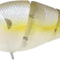 Chartreuse Shad
