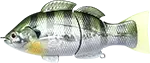 Lucky Craft Real BG