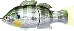 Lucky Craft Real BG