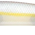 Chartreuse Shad