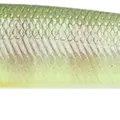BE Gill