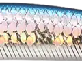 MS American Shad