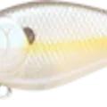 Chartreuse Shad