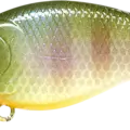 BE Gill