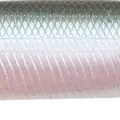 Pearl Ghost Minnow