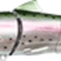 Laser Rainbow Trout