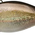 Chrome ARKANSAS Shad