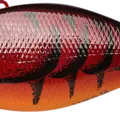 Spring Craw