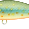 Super Sinking~ Brook Trout - Kawa Masu