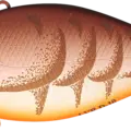 Fall Craw