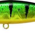 Aurora Green Pearch