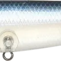 Ghost Blue Shad