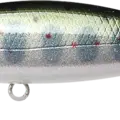 Energy Baby May Salmon