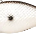 Original Tennessee Shad