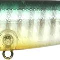 Ghost Sun Fish