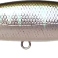 Misty Shad