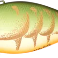 Rootbeer Craw