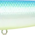 Citrus Shad