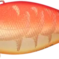 Golden Craw