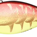Tomato Craw
