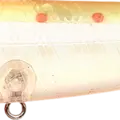 Ghost Nishiki